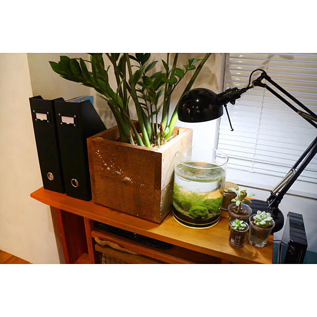 My Shelf,ニトリ,勉強道具収納,DIY,手作り chairgreenの部屋