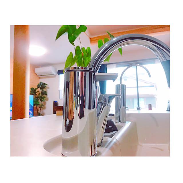 タッチレス,浄水器,丸太,スタイリッシュ,センサー,ソープディスペンサー,オートディスペンサー,シンプルヒューマン,家電,梁,アンスリュウム,吹き抜け,Kitchen,ゴムの木,Lounge HinaCheiMamの部屋