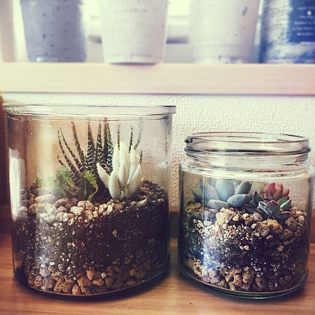 My Shelf,空きビン,テラリウム,ハンドメイド,はじめて！,多肉植物,DIY,love green shiiの部屋