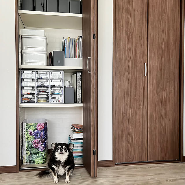 築30年超,リフォーム・リノベーション,ペットとの暮らし,わんこと暮らす,いぬのいる暮らし,新聞置き場,くすり収納,書類収納,文房具収納,リビング収納,小物収納,Lounge Hannahの部屋