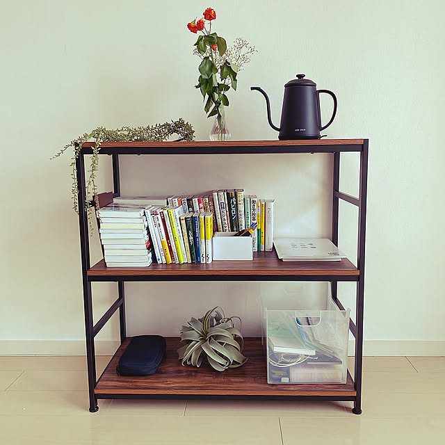 インダストリアル,インダストリアルインテリア,フェイクグリーン,男前,My Shelf TETSUの部屋