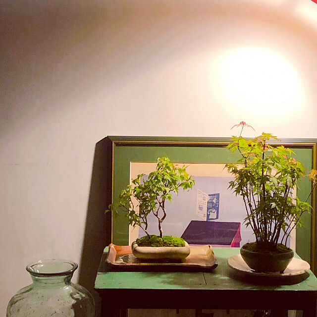 ミニ盆栽,和モダンインテリア,陶芸作品,Bedroom chacoの部屋