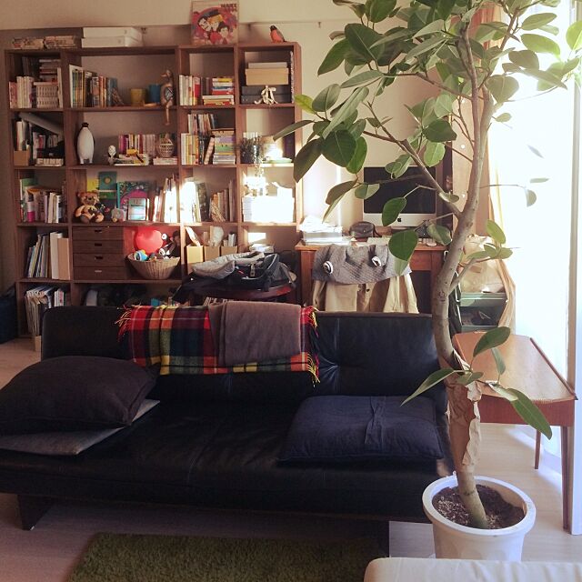Lounge,革ソファ,スタッキングシェルフ,観葉植物,無印良品,ソファ,男前 sasamayuの部屋
