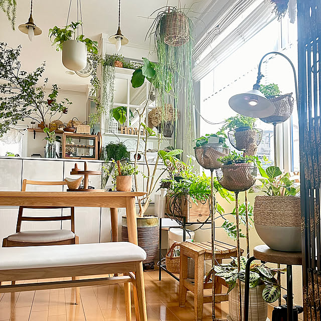 わが家の好きな風景,On Walls,NO GREEN NO LIFE,植物が好き,植物のある暮らし,植物,グリーンのある暮らし UNI.mamaの部屋