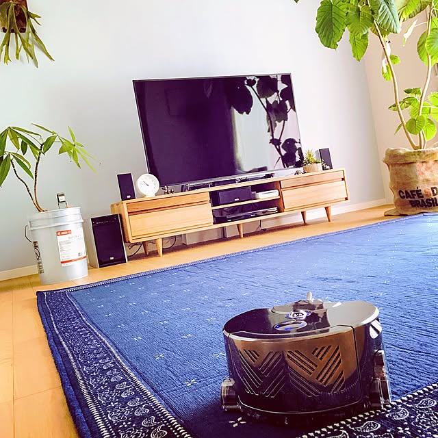 観葉植物,ウンベラータ,モニター,ロボット掃除機,Dyson 360 Eye,長文失礼します,いなざうるす屋さん,RC九州支部,壁紙屋本舗,ダイソン,ニトリ,無印良品 tokoの部屋
