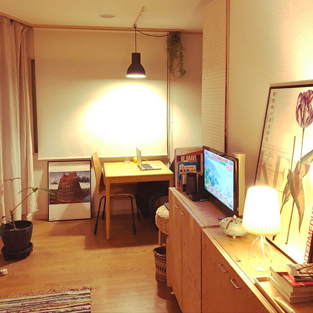Overview,HEKTAR ヘクタル,DIY,IKEA,一人暮らし,照明 mimiz_amiの部屋
