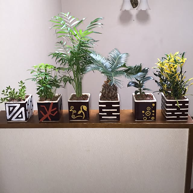 My Shelf,アクリル絵の具,雑貨,アジアン,エスニック,ソテツ,観葉植物,DIY,絵画,アジアンインテリア Hidekiの部屋