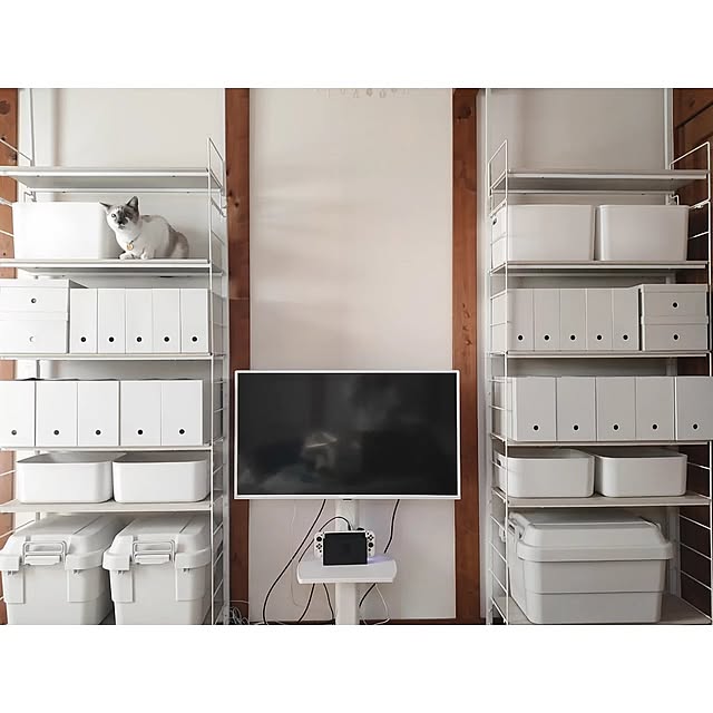 My Shelf,ホワイトインテリア,無垢床,木材,木の家,田舎暮らし,保護猫,猫と暮らす,猫と暮らす家,Nポルダ,ニトリ,無印良品,ポリプロピレンケース,テレビスタンド,趣味部屋 kaoriiiの部屋