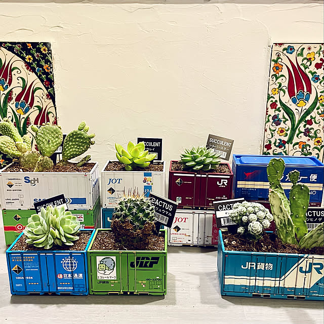 モルモル,トルコタイル,キッチンカウンター,多肉植物,セリアコンテナBOX,セリアコンテナミニチュア,セリア,キャンドゥ,キャンドゥの多肉植物,10分でできる,Kitchen paradise_viewの部屋