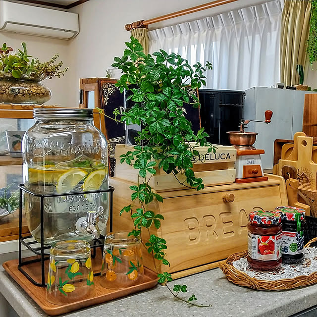 Lounge,ニトリ,カフェ風,おうち時間,おうちカフェ,レモン水,ドリンクサーバー,パンケース,ブレッドケース,ブレッドケース♡ Loveの部屋