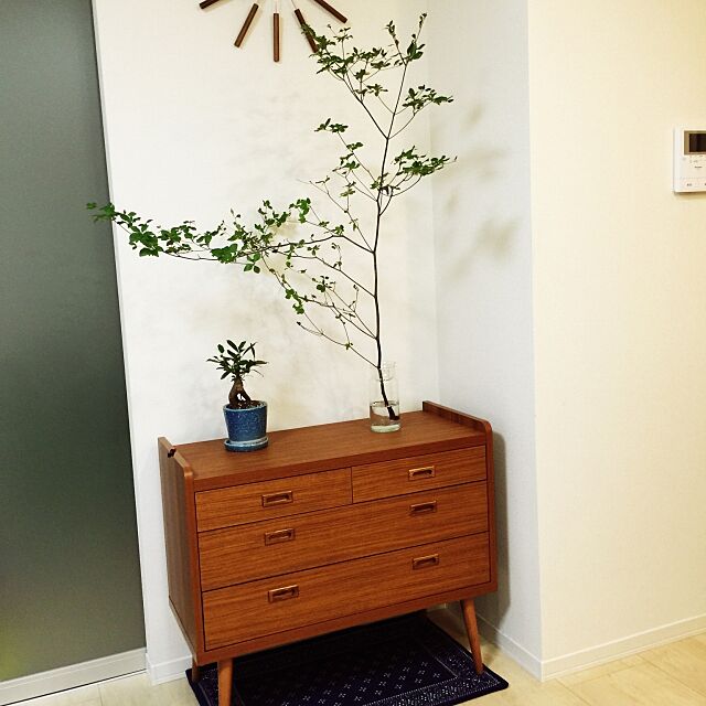 My Shelf,チェスト,ドウタンツツジ,観葉植物 Ayakaの部屋