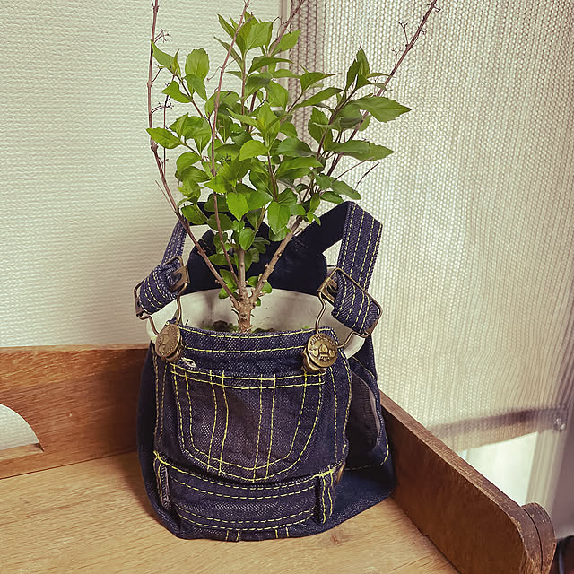 My Shelf,アンティーク nerumaeの部屋