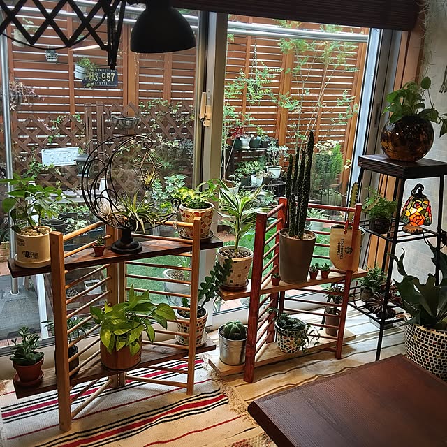 My Shelf,庭DIY,シザーアームライトDIY,IKEA,窓際のグリーン,DIY,植物のある暮らし,コンテスト参加,ラダーＤIY,観葉植物,HASHIGOパーテーションシェルフ,モザイクタイル鉢 ANNAの部屋