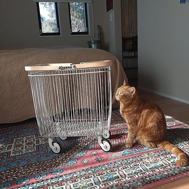 Overview,楽天で買ったもの,ドライフラワースワッグ,ドライフラワーのある暮らし,ねこと暮らす,住友林業,勾配天井の寝室,ランドリーラック,ランドリーバスケット hagyu7kuroの部屋