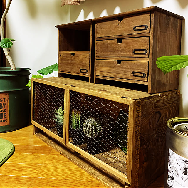 初投稿,観葉植物,雑貨,DIY,レトロ,フェイクグリーン,100均,セリア,ハンドメイド,カフェ風,My Shelf Rumikoの部屋