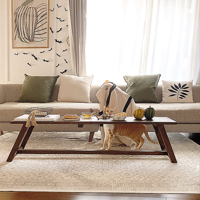 ZARA HOME,北欧インテリア,北欧,北欧雑貨,カボチャ,シンプルインテリア,ラグ,ベンチ DIY,H&M HOME,ハロウィン雑貨,ハロウィン,ハロウィンディスプレイ,ねこのいる日常,アートのある暮らし,海外インテリアに憧れる,くつろぎ空間,シンプル,DIY,北欧ナチュラル,ねこのいる暮らし,ねこが好き,海外インテリア,模様替え,クッション,くつろぎスペース,ホワイトナチュラル,Lounge,冬支度,手作り chibi76の部屋