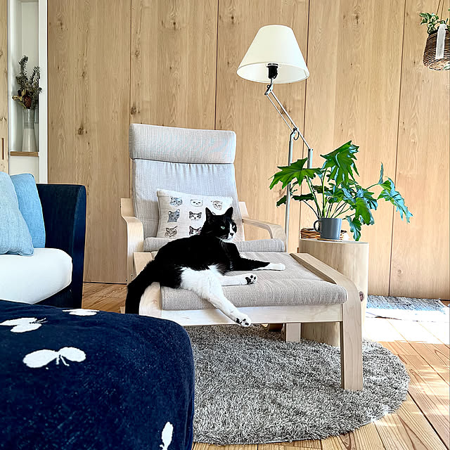 ハイバックチェア,くつろぎ空間,ニッチ,スタンドライト,ラグマット,ねこと暮らす,ねこのいる日常,IKEA,ポエングチェア,心地よい暮らし,フォロワーさんに感謝♡,コメントお気遣いなく♡,見てくれてありがとうございます♡,グリーンのある暮らし,間接照明,マンション暮らし,NO GREEN NO LIFE,癒し,Lounge pooの部屋