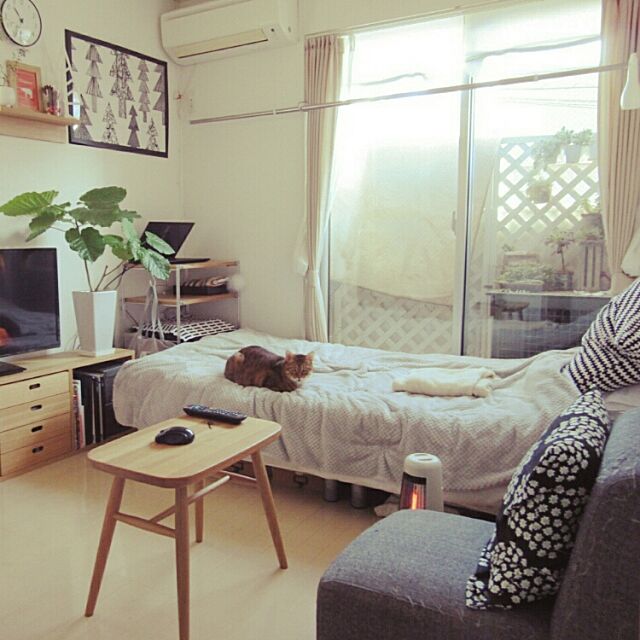 シンプル,一人暮らし,賃貸,ワンルーム 狭い,14㎡,Overview komugiの部屋