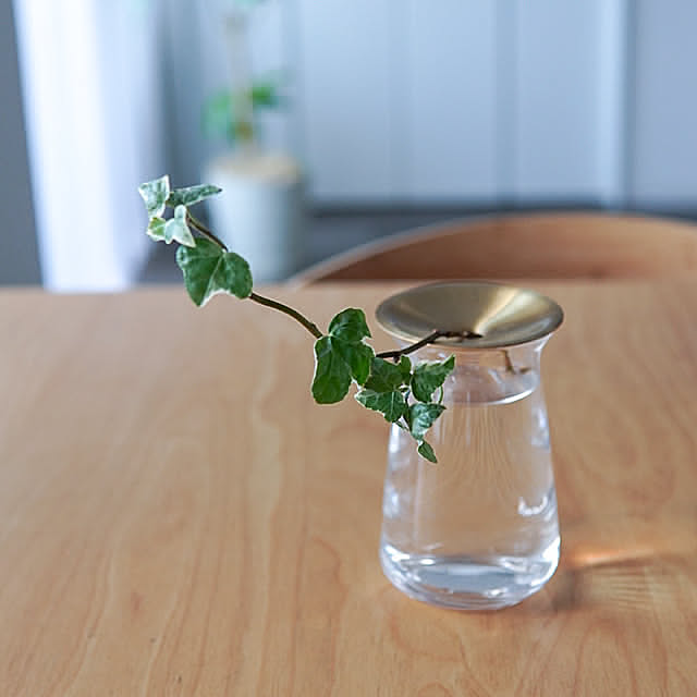 Lounge,KINTO LUNA VASE,KINTO LUNA ベース,KINTO,一輪挿し,キンセンカ,アイビー,シュガーバイン,観葉植物のある暮らし Saraの部屋