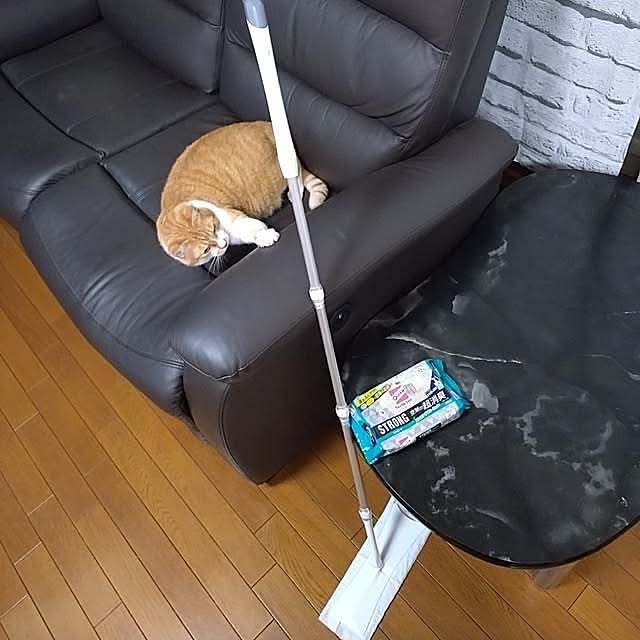 【わが家のおすすめ4選】おうち時間がもっと心地よくなる♪快適な暮らしを叶える4つのアイテム by NOAHさん