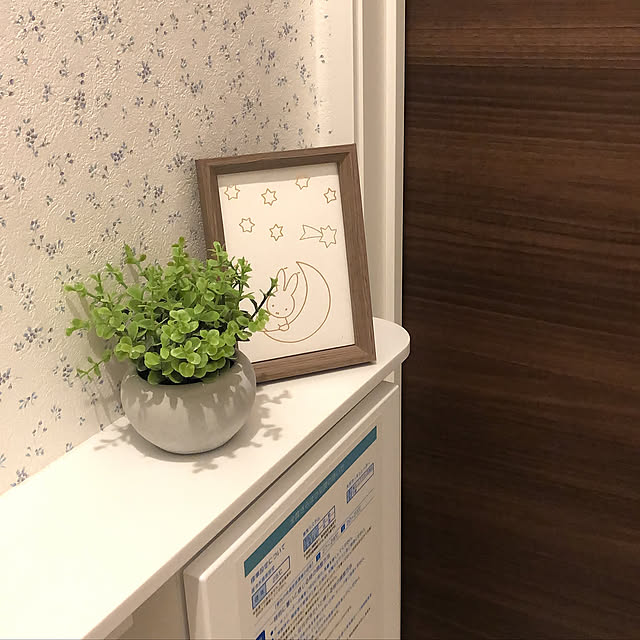 ミッフィー,ニトリ,ダイソー,観葉植物,フェイクグリーン,Bathroom miichanの部屋