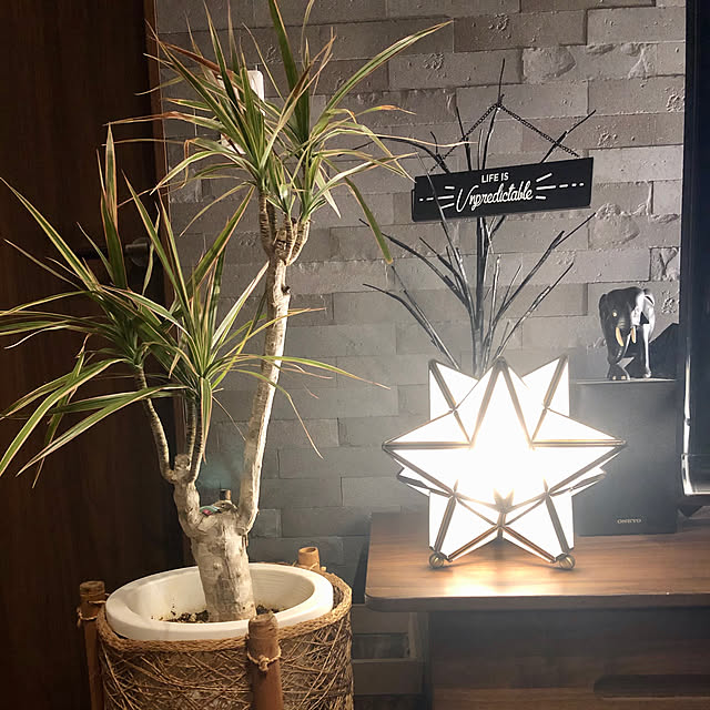 コンシンネ,エコカラット,ウォルナット,観葉植物,雑貨,My Shelf orangeの部屋