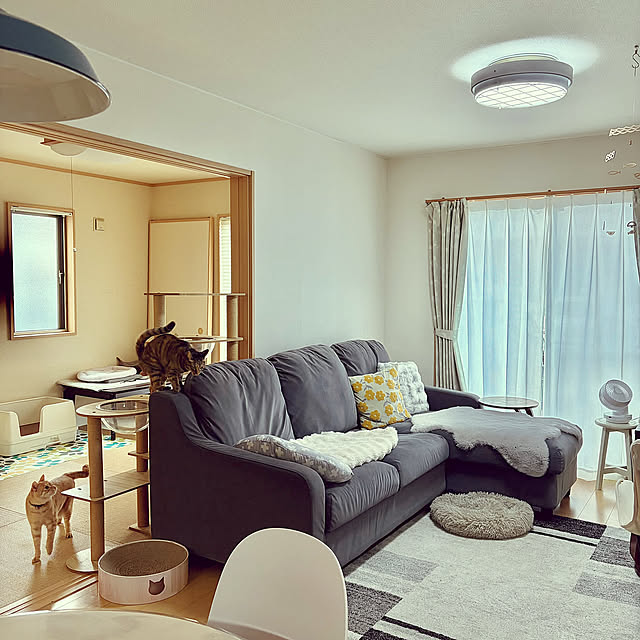 キャットタワー,春の模様替え,多頭飼い,ねこのいる日常,ねこと暮らす chiiの部屋