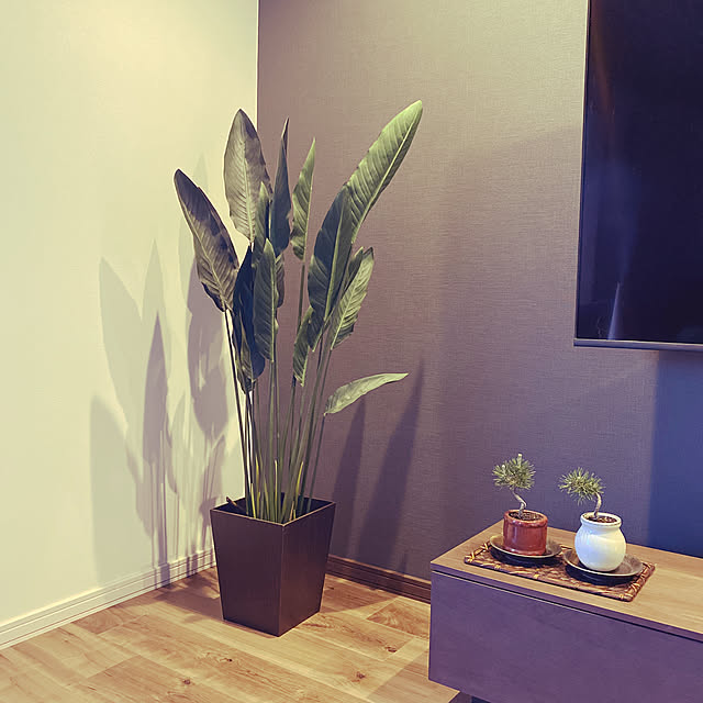 照明,ニトリ,フェイクグリーン,Lounge ktkt25252549の部屋