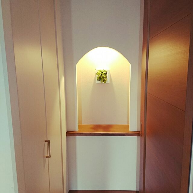 無印良品,壁にかけられる観葉植物,飾り棚,Entrance osaosa8787の部屋