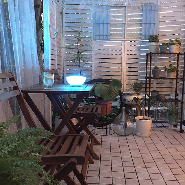 植物のある暮らし,夕涼み,ビオトープ,ウッドデッキ,Hue Bluetooth,Hue Go,Philips Hue,暑さ対策,Bedroom,デミジョンボトル,ニトリ テーブルセット,フィカスベンガレンシス,ペペロミオイデス,スイカぺぺ,カラテアオルビフォリア,エバーフレッシュ,夏,持ち運び簡単,ライト,モニターpic④ cherryの部屋