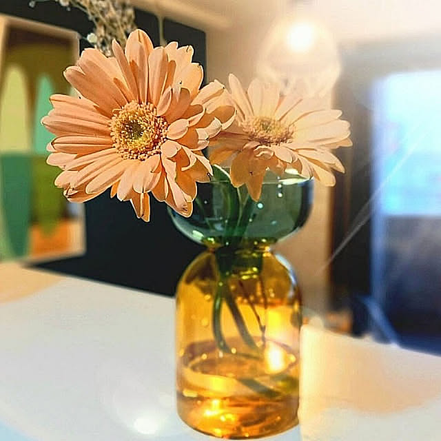 雑貨,いつもいいねやコメありがとうございます♡,RoomClipの出逢いに感謝♡,再投稿なのでコメントお気遣いなく。,イベント参加につきコメントお気遣いなく,ガーベラ大好き,アマブロのフラワーベース cafe0415hの部屋