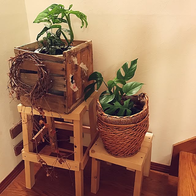On Walls,椅子DIY,モンステラ,観葉植物,鉢カバー,カナディアンハウス,ナチュラル,DIY,ハンドメイド,輸入住宅,端材,端材利用 klaroomの部屋