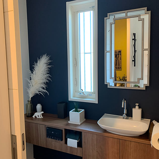 Panasonic トイレ,ZARA HOME,壁掛けミラー,セキスイハイム　ドマーニ,Bathroom kamomeの部屋