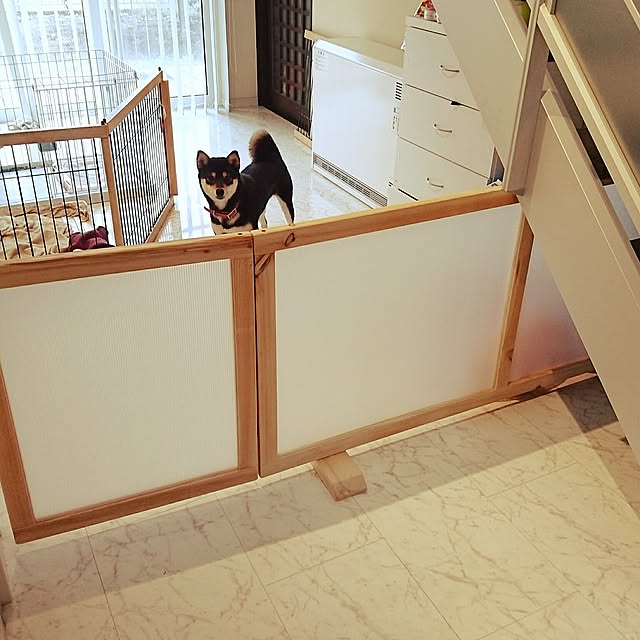 Entrance,日曜大工,端材 DIY,プラダン,いいね&フォローありがとうございます☆ joseyasuの部屋
