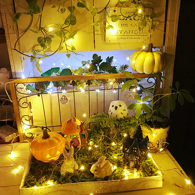 My Shelf,カボチャランタン,ハロウィンディスプレイ,フェイクグリーン,観葉植物,LEDイルミネーション,ハロウィン,Room Clipとの出会いに感謝✳︎,ダイソーかぼちゃ,ハロウィン雑貨,いつもいいねありがとうございます♡,星のライト,グリーンモス,動物雑貨,箱庭ディスプレイ coconyantaの部屋