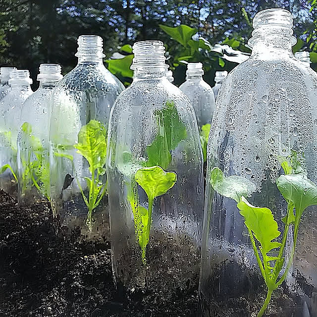 再利用,日記,１人暮らし,手作り,休憩中,休憩タイム,日常,愛着,庭,緑のある暮らし,菜園,日常の風景,ガーデニング,ゆったりと過ごす,ありがとうございます♡,日課,一人暮らし,心地よい暮らし,お家時間,Kitchen weの部屋