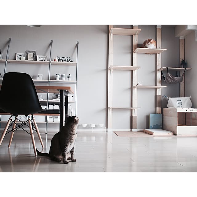 Overview,猫トイレカバー,キャットウォーク,ディアウォール,ナチュラルモダン,もみじ君,RoomClipStyle,マンション,ねこ,ネコ,ねこのいる日常,このは君,北欧,北欧インテリア,モノトーン,北欧モダン,イームズシェルチェア,ダイニングテーブル,壁紙 グレー,WALPA壁紙,壁紙DIY Reikoの部屋