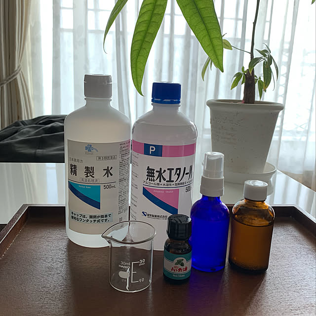 ハッカ油スプレー,ダイソーの観葉植物,マンション暮らし,コメントお気遣いなく♡,見てくれてありがとうございます♡,快適に暮らしたい,いいね&フォローに感謝です☺︎♡,My Desk KONBUの部屋