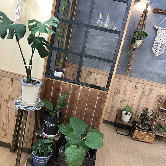 目隠し壁DIY,観葉植物のある暮らし,スツールDIY,ミンネやってます♡,インスタ dddhhh_works,ハンドメイド,DIY女子,富山,DIY,壁紙コンクリート柄,壁紙屋本舗,セルフリノベーション中,マクラメタペストリー dddhhhの部屋