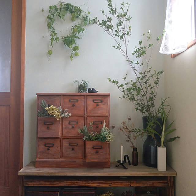 My Shelf,ディスプレイコーナー,壁DIY,壁ペンキで塗り塗り,小引き出しリメイク,ドウダンツツジ,和蝋燭,フェイクグリーン,色はウィンドオブサバンナ,壁塗りました,フウセンカズラ,エリンジウムドライ,アナベルドライ,フクロカズラは間違えなのか??,ROOMBLOOM chocoの部屋