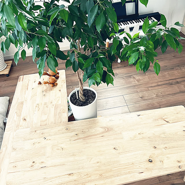 【わが家のおすすめ4選】毎日を彩る、シンプルで機能的な美しさ。生活が豊かになる選び抜かれた一品たち by asasouさん