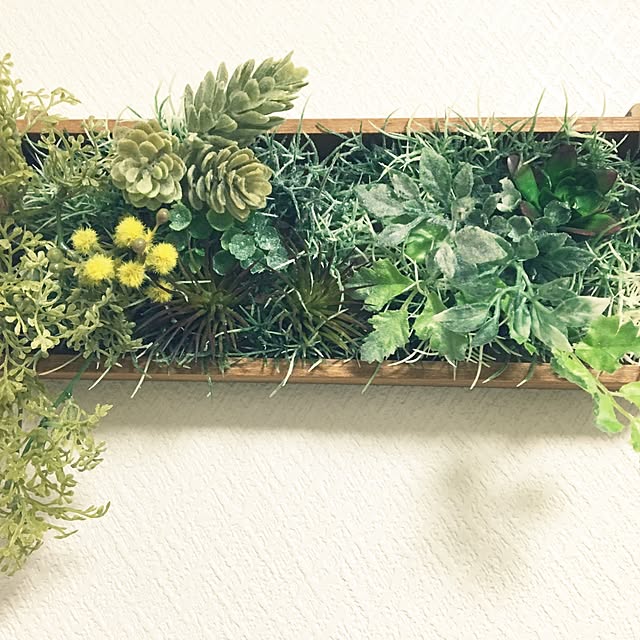 On Walls,10分でできる,100均,フェイクグリーン,雑貨,ハンドメイド,DIY,観葉植物 tomoの部屋