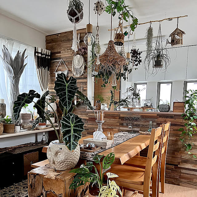ミックスインテリア,My Desk,ウッドウォール,ナチュラル,ジャングル,木材,木製家具,ダクトレール,ハンギング,ダイニング,プリミティブ,BOHO,ボヘミアン,アジアン,観葉植物,ボタニカル,アロカシアポリー,アロカシアアマゾニカ h_a_n_a_y_u_iの部屋