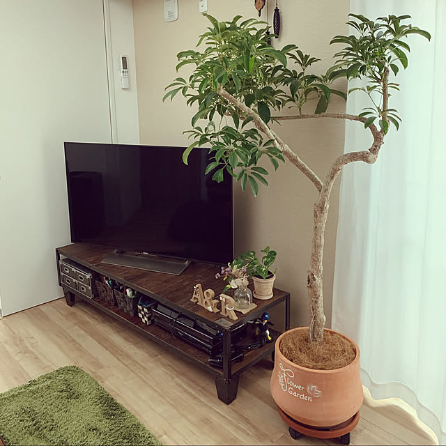 シェフレラ,TRUCK FUNITURE,カフェ風,男前,観葉植物,植物,関家具,Lounge bigbridge10の部屋