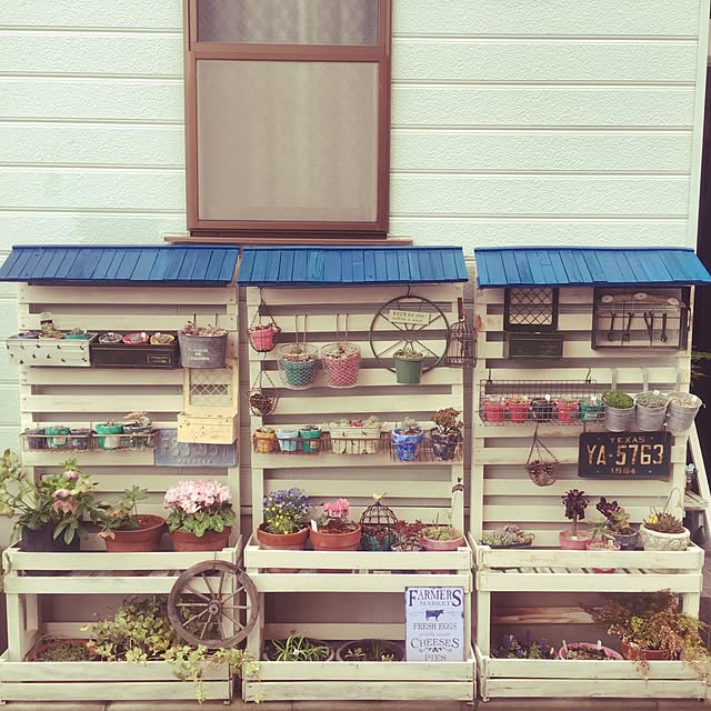 Entrance,DIY,salut!,3Coins,雑貨,リメ缶,100均,多肉植物,ナチュラル,ガーデニング ansho0810の部屋