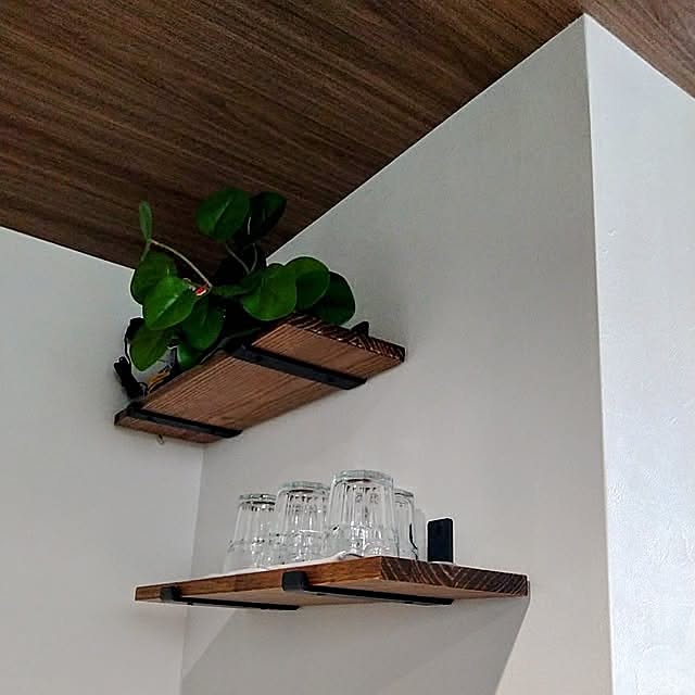 My Shelf,シンプルが好き,狭いけど物が無いから十分な部屋,せまいながらも楽しいわが家,ナチュラル,カフェ風,観葉植物,LDK20畳,モノトーン tomomoの部屋