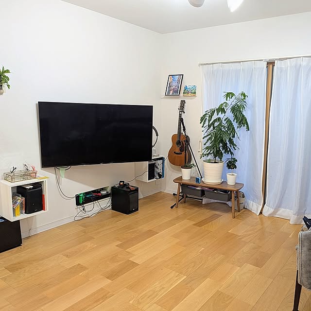 Lounge,観葉植物,グリーン,エバーフレッシュ,掃除,観葉植物のある暮らし,ルンバがいる暮らし,ルンバ映ってへんけど,ルンバは映ってません! tomatopapaの部屋