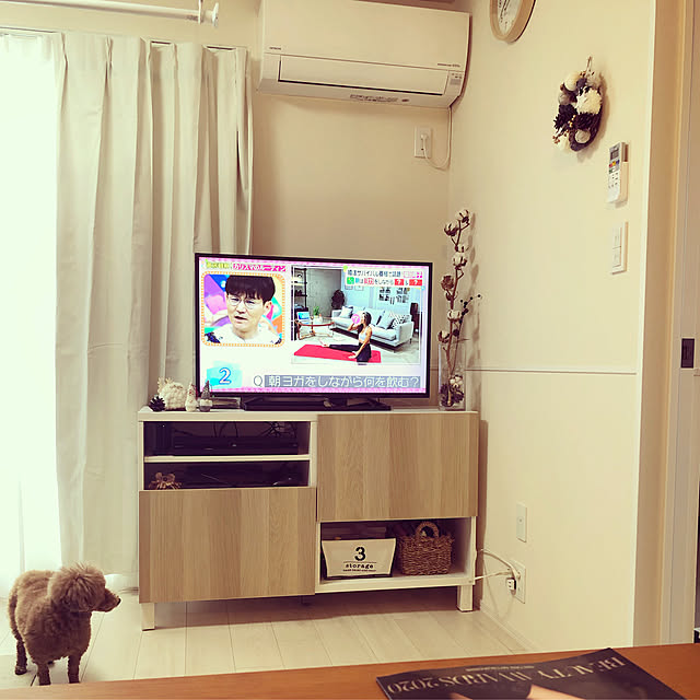 テレビボード,IKEAテレビ台,IKEA,Lounge,いぬのいる暮らし,テレビ台,BESTÅ coime.の部屋