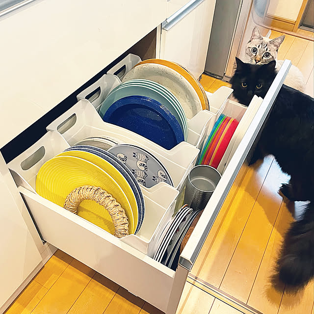 IKEA,ニトリ,ねこ部,保護猫,ねこのいる日常,ねこと暮らす,保護猫と暮らす,欲しかったもの♡,RoomClipショッピング,おうち見直しキャンペーン,アラビア,ARABIA,ワンプレート,Kitchen yu-の部屋