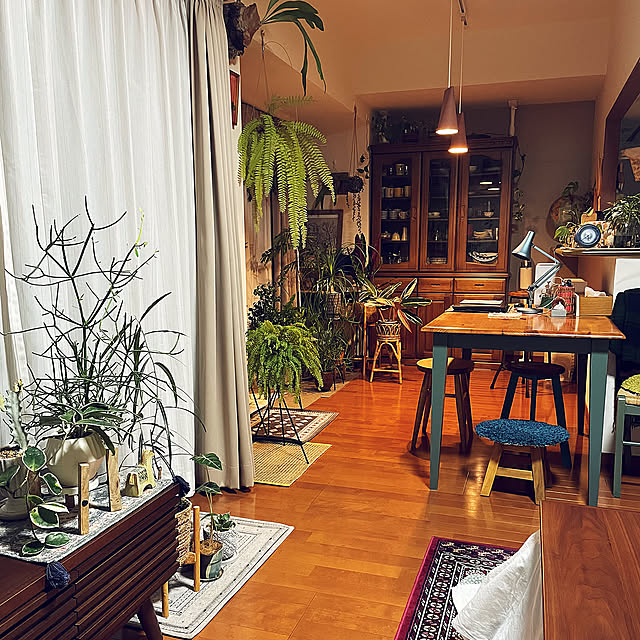 Overview,2025.12.2,夜を楽しむインテリア,観葉植物,観葉植物のある暮らし,好きなものに囲まれて暮らす,MOEBE,Arne Jacobsen,ANGLEPOISE MINIMINI miyamiyaの部屋